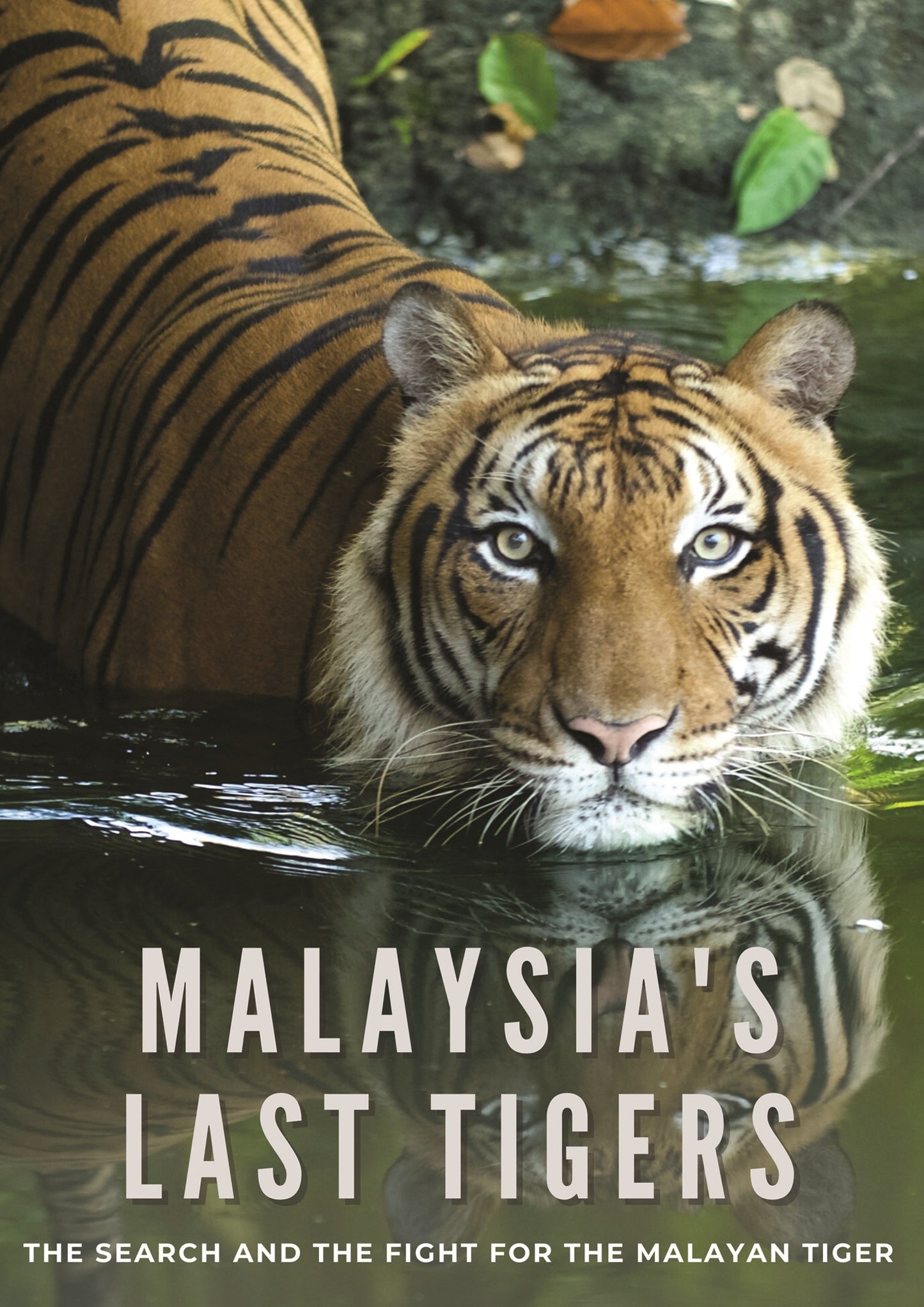 Malaysia's Last Tigers cover art