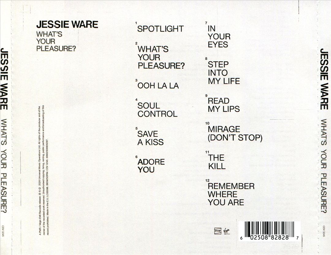 What's Your Pleasure? cover art