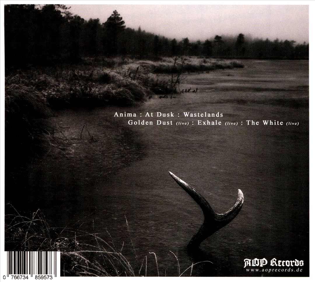 Wastelands cover art