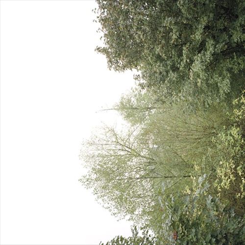 Soul of the Rainbow and the Harmony of Light cover art