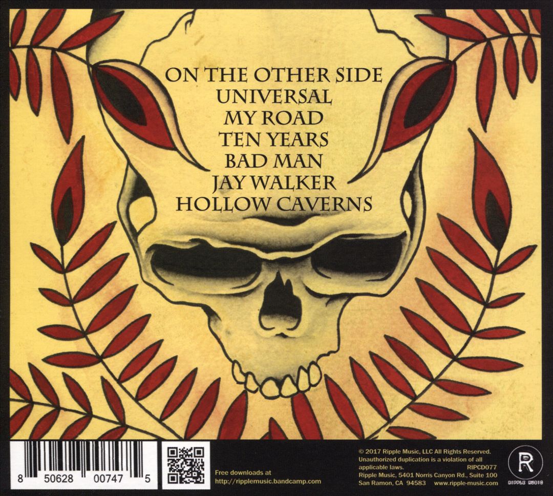 Freedom Hawk cover art