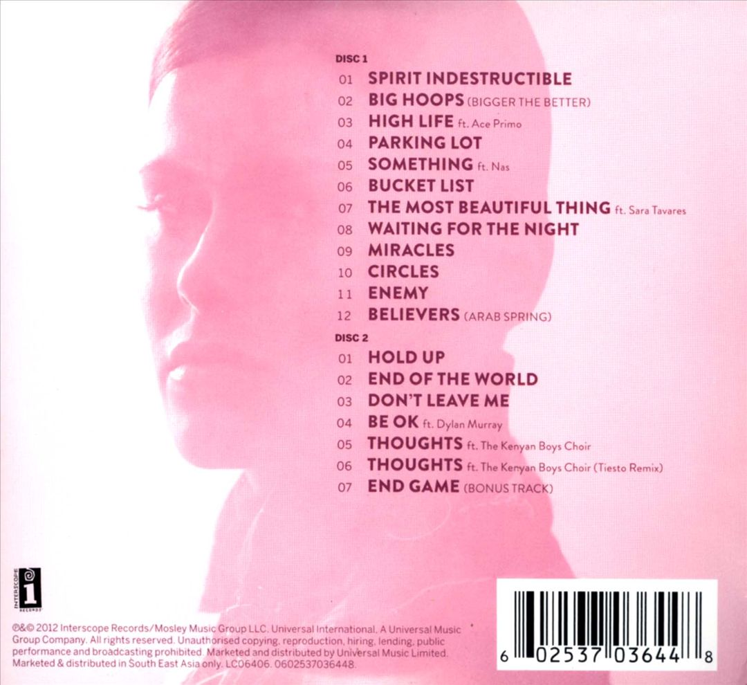 Spirit Indestructible [Bonus CD] [Bonus Tracks] cover art