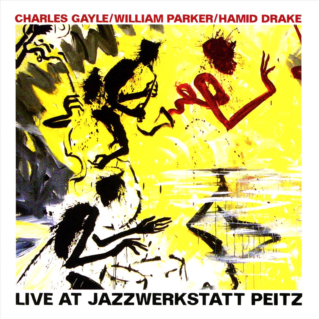 Live at Jazzwerkstatt Peitz cover art