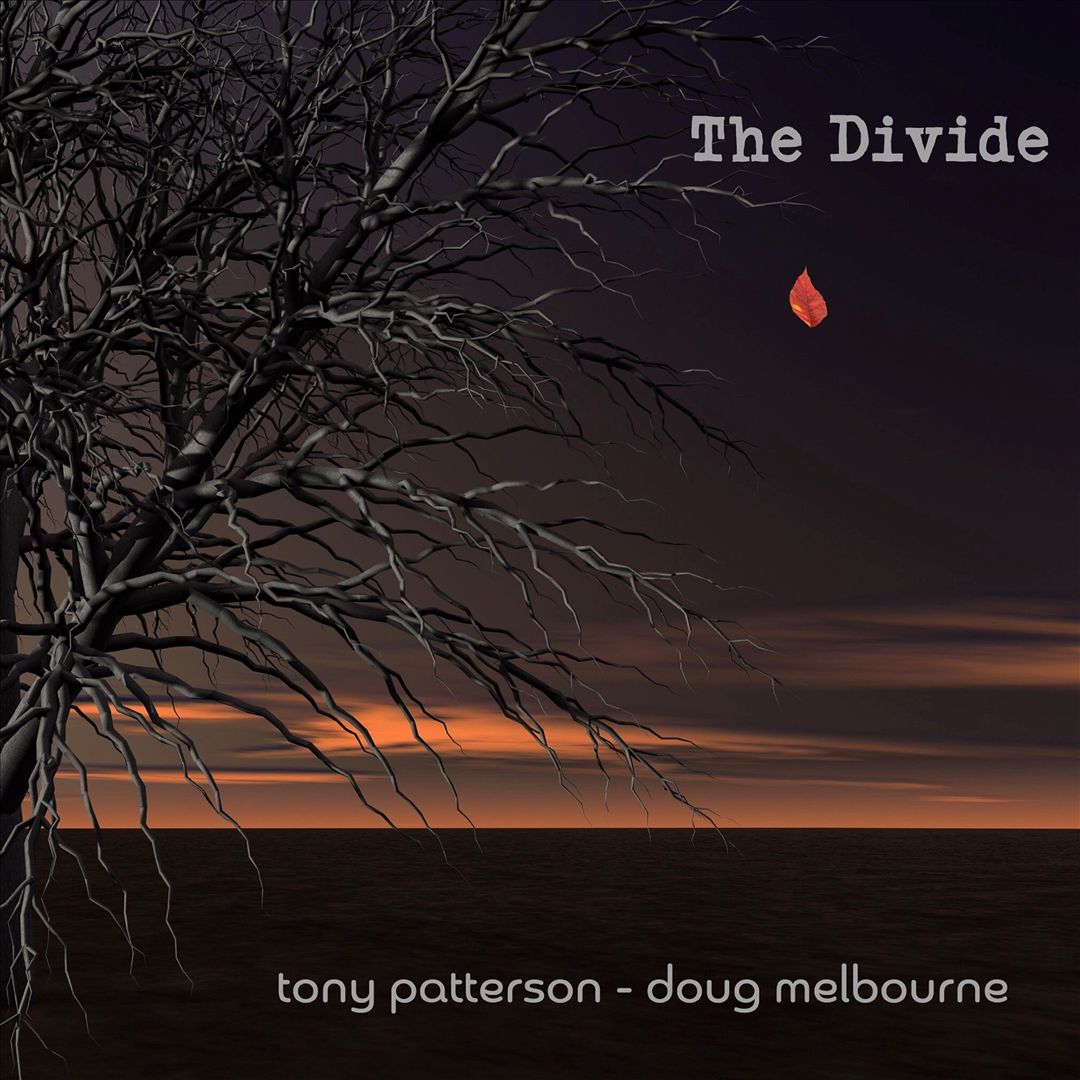 Divide cover art