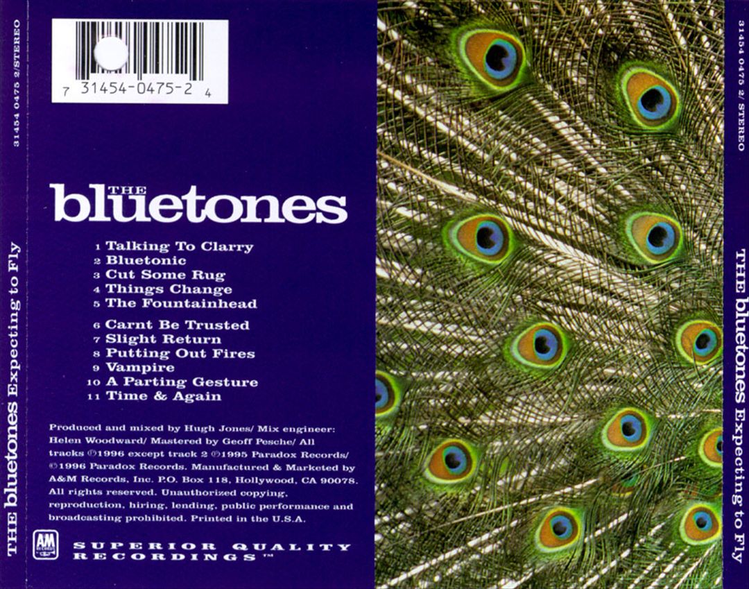 Expecting to Fly cover art
