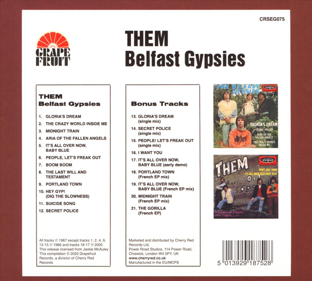 Them Belfast Gypsies [Bonus Tracks] cover art