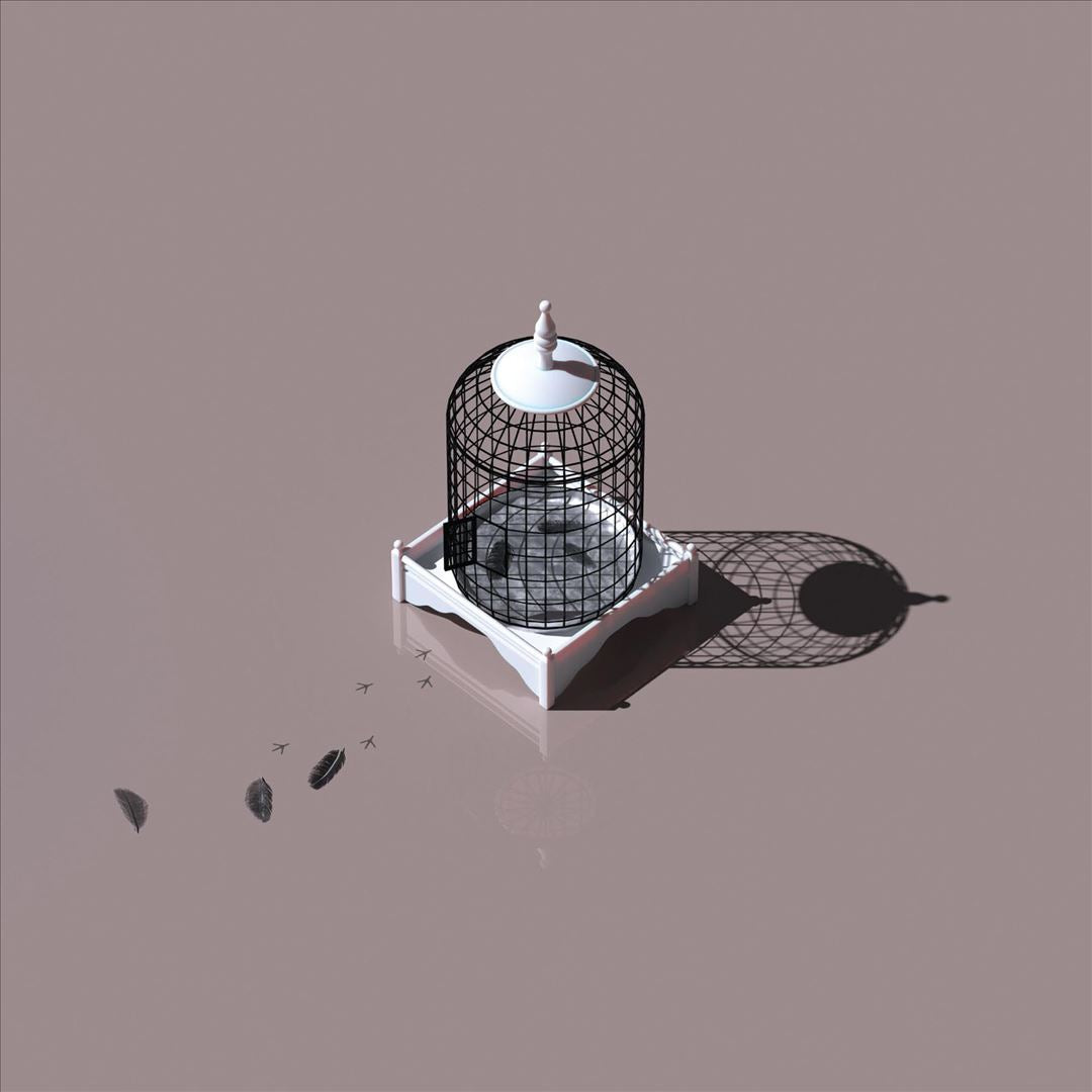 Migrant Returned cover art