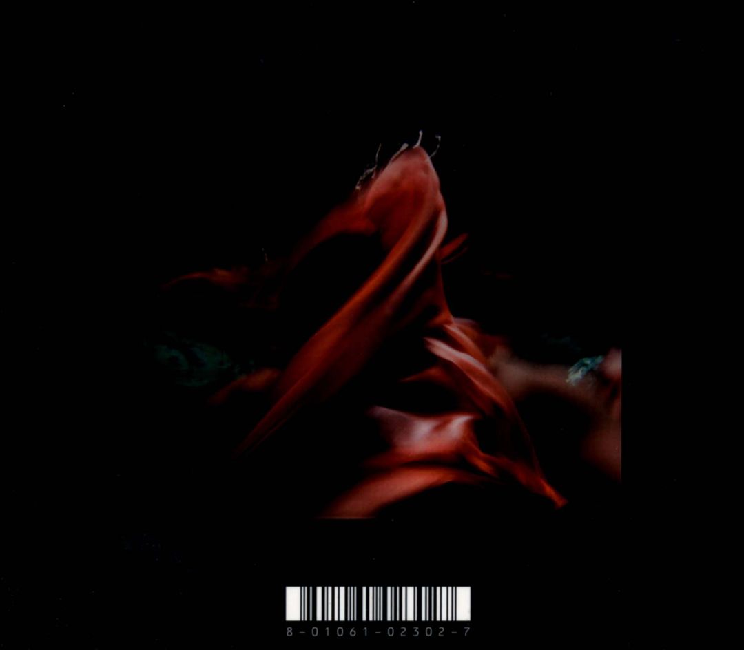 Until the Quiet Comes cover art