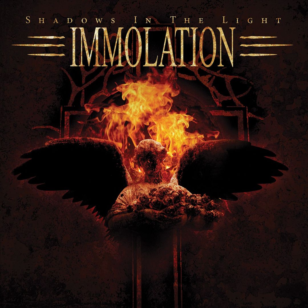 Shadows in the Light cover art