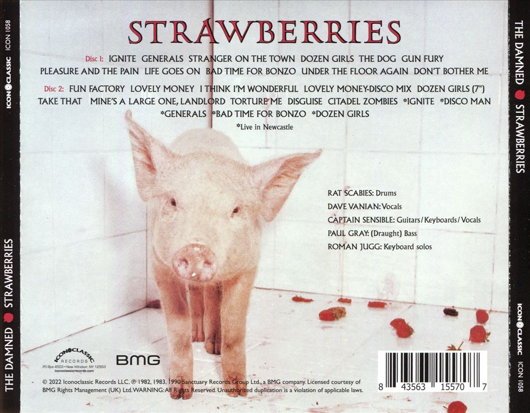 Strawberries cover art
