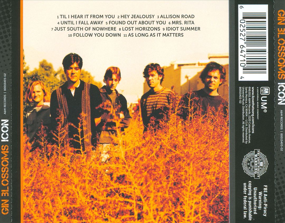 Icon cover art