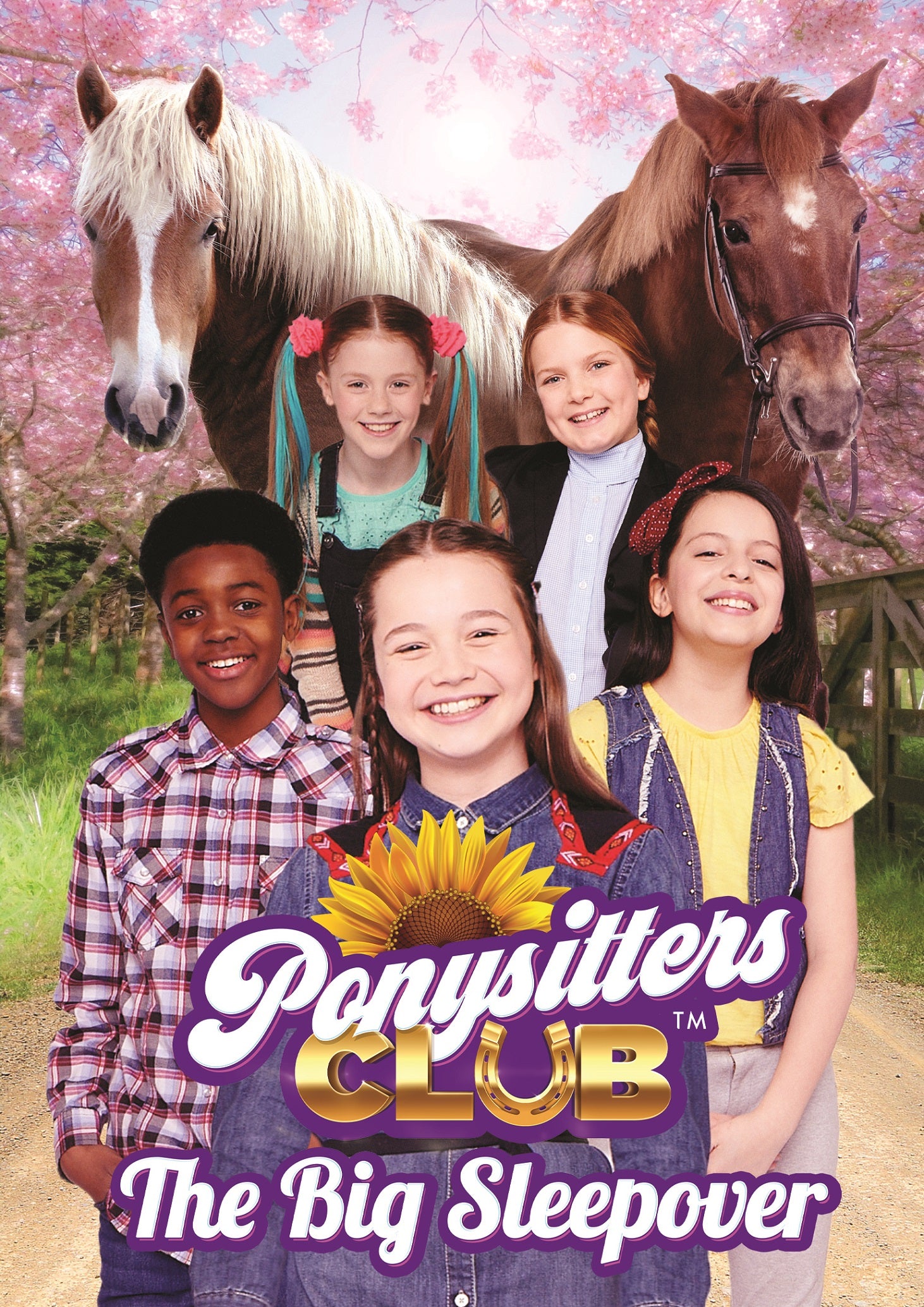 Ponysitters Club: The Big Sleepover cover art