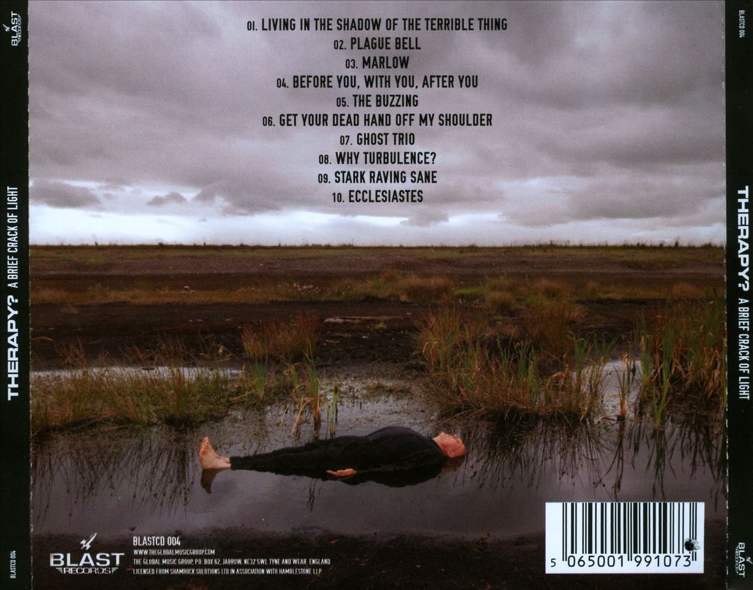 Brief Crack of Light cover art