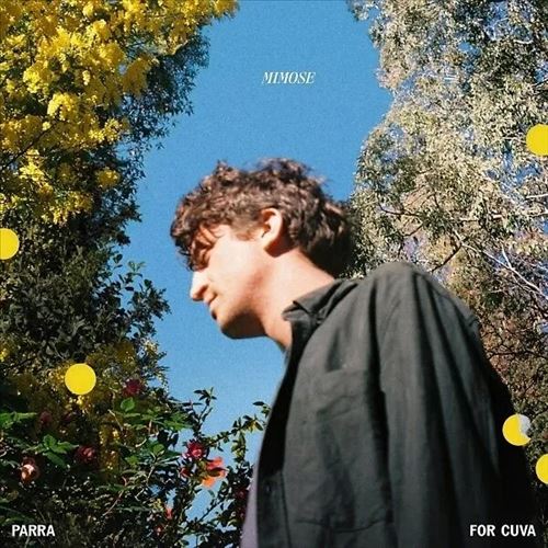 Mimose cover art