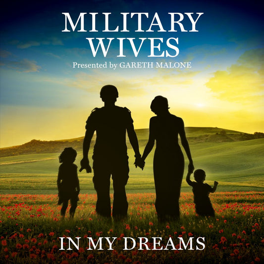 In My Dreams cover art