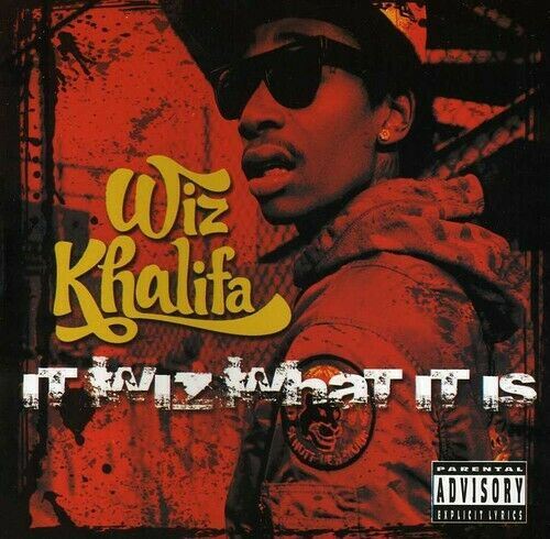 It Wiz What It Is cover art
