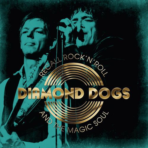 Recall Rock 'N' Roll and the Magic Soul cover art