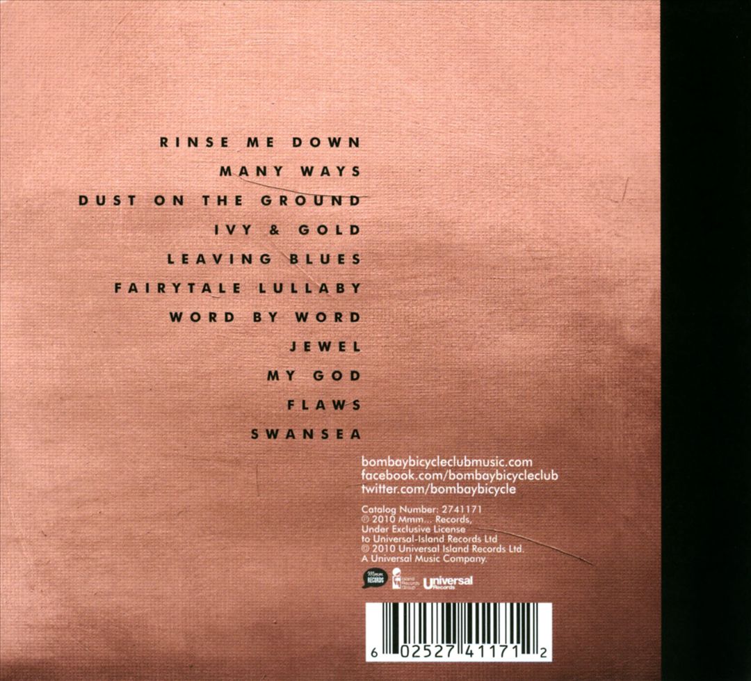 Flaws cover art
