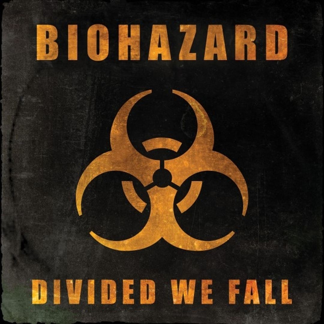 Divided We Fall cover art