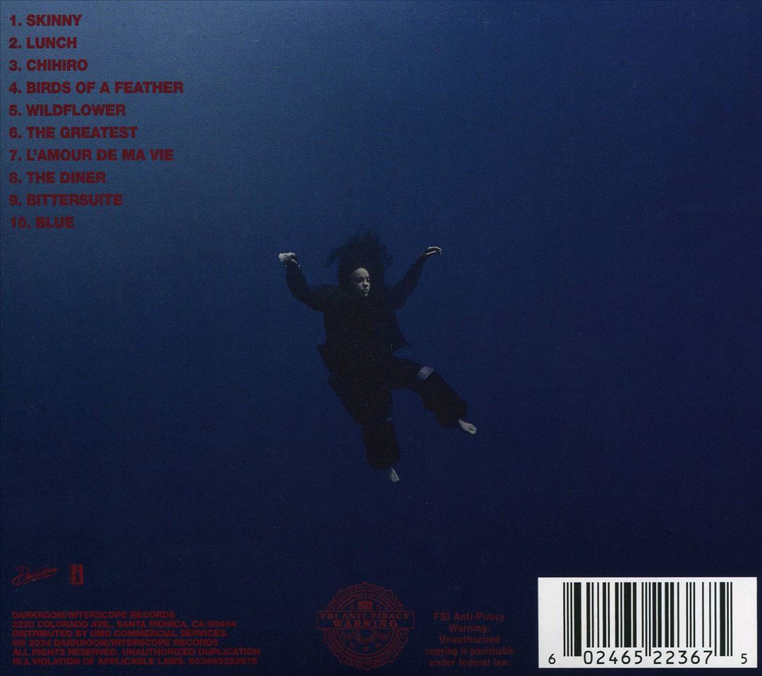 HIT ME HARD AND SOFT cover art