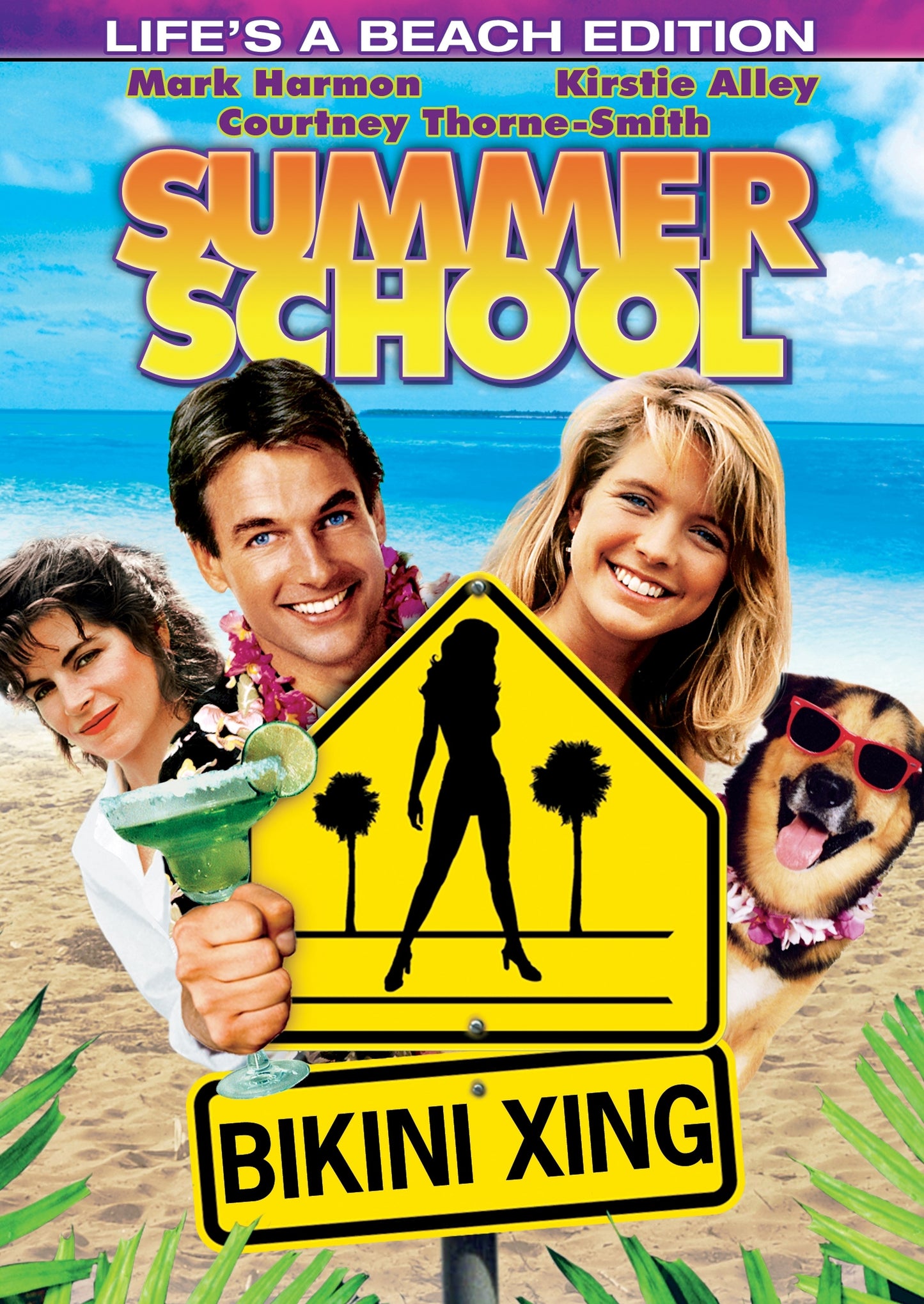 Summer School cover art