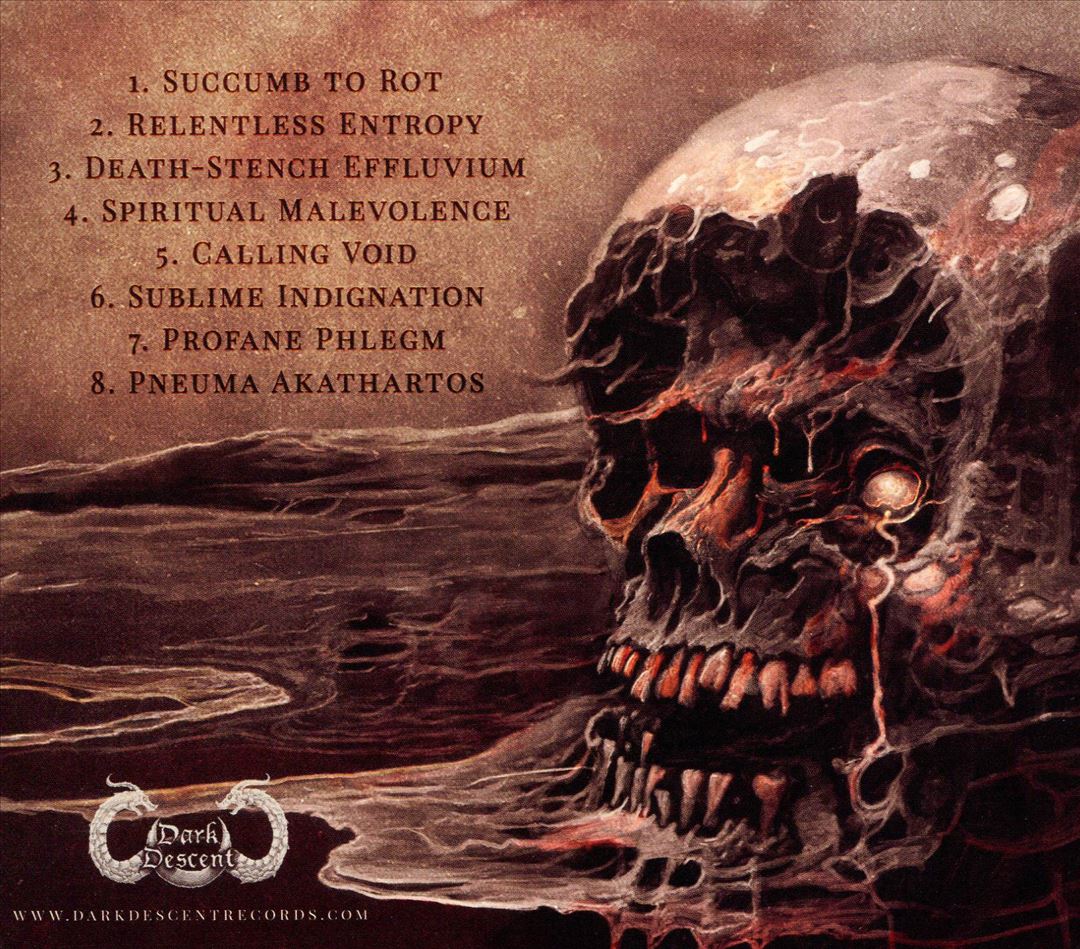 Succumb to Rot cover art