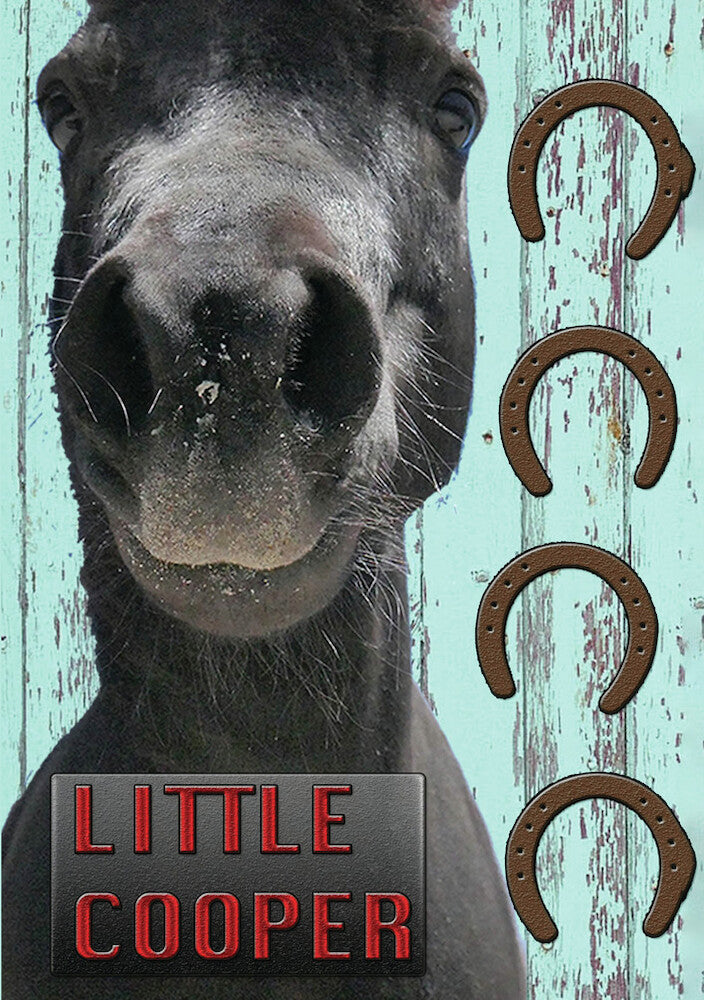 Little Cooper cover art
