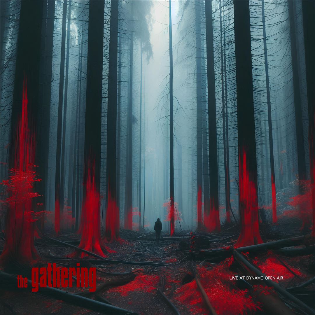 Live at Dynamo Open Air cover art