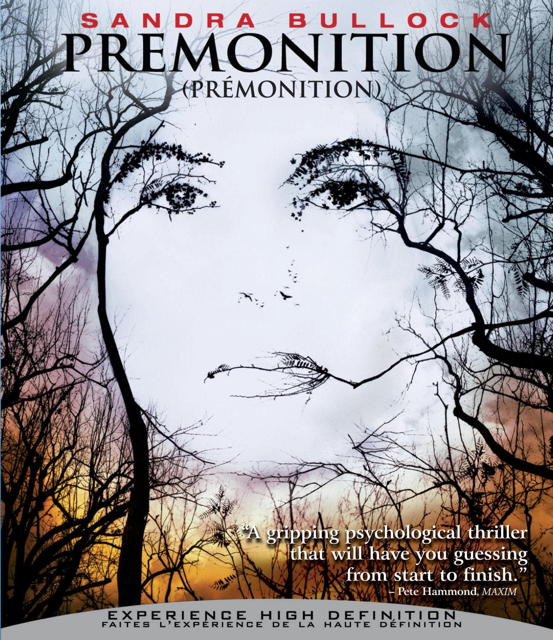 Premonition [Blu-ray] cover art