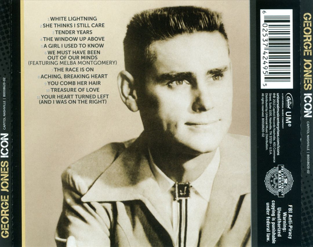 Icon, Vol. 1 cover art