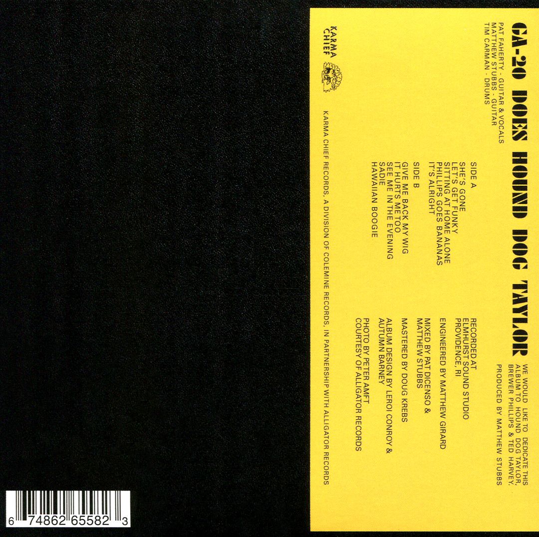 Try It... You Might Like It! GA-20 Does Hound Dog Taylor cover art