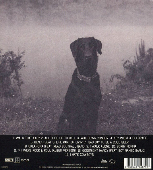 I Hate Cowboys & All Dogs Go to Hell cover art