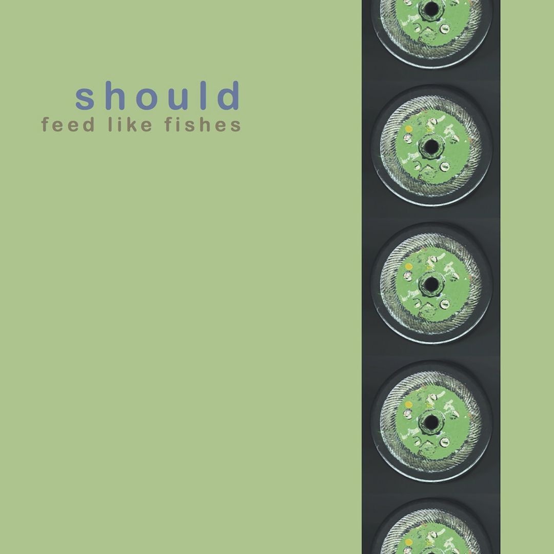 Feed Like Fishes [Bonus Tracks] cover art