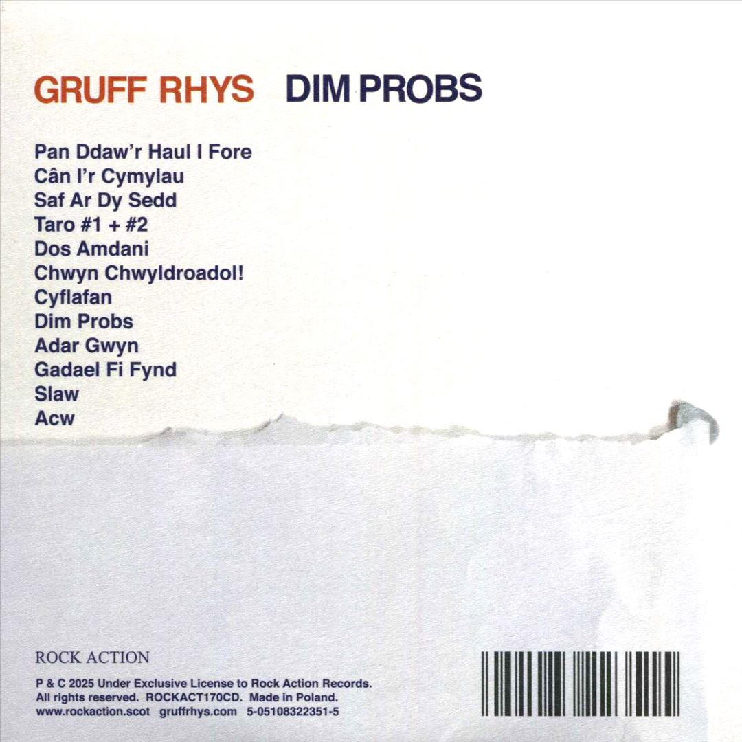 Dim Probs cover art