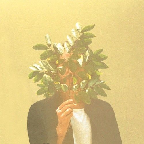French Kiwi Juice cover art
