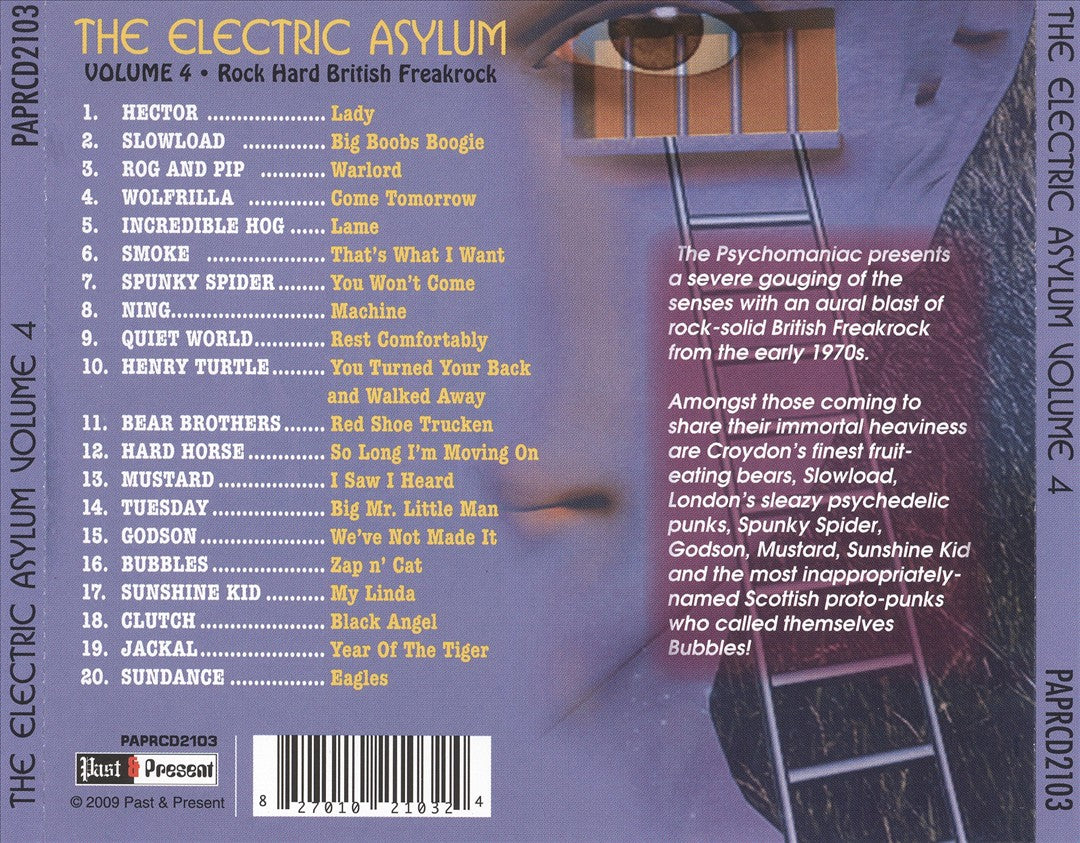 Electric Asylum, Vol. 4: Rare British Acid Freakrock cover art