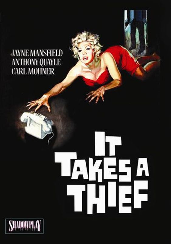 It Takes a Thief cover art
