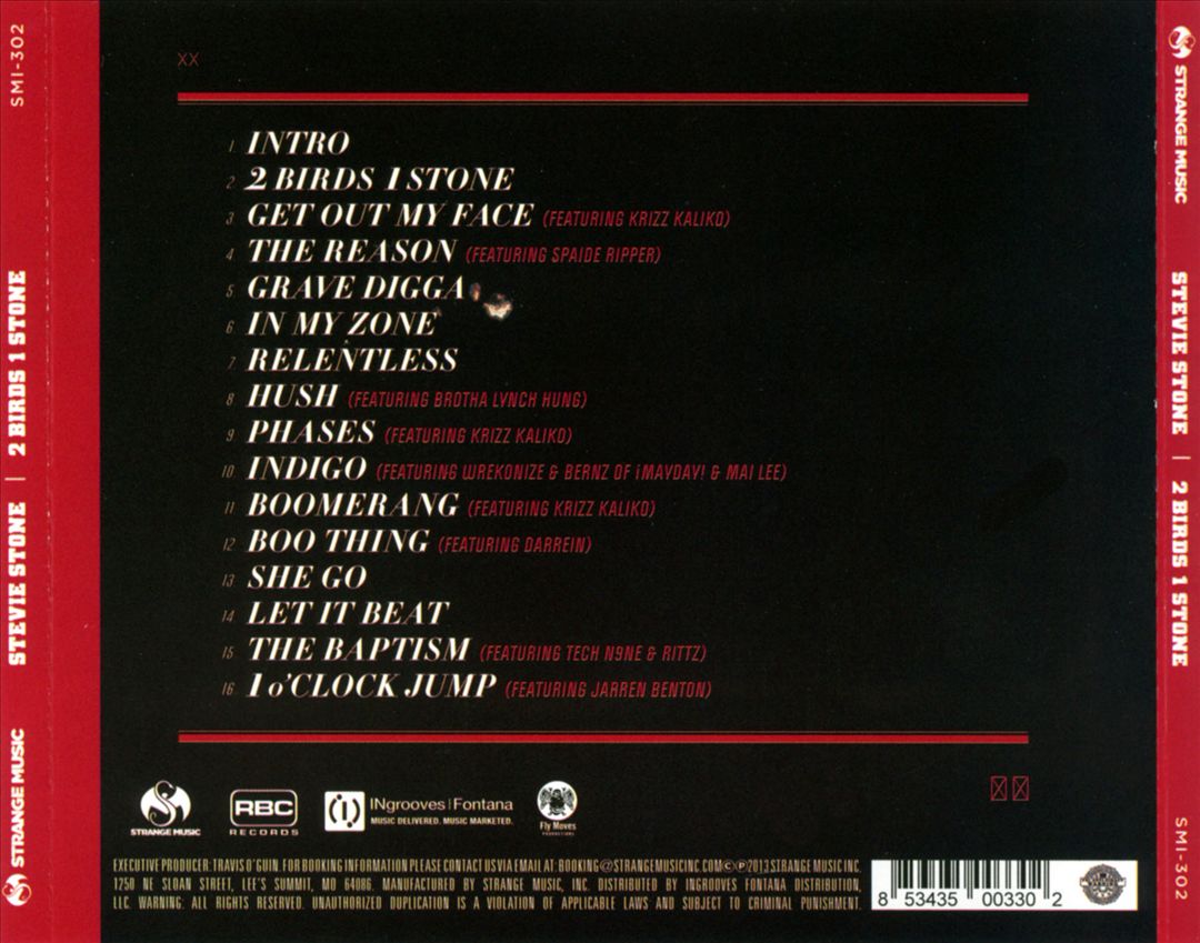 2 Birds, 1 Stone cover art
