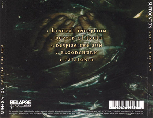 Despise the Sun cover art