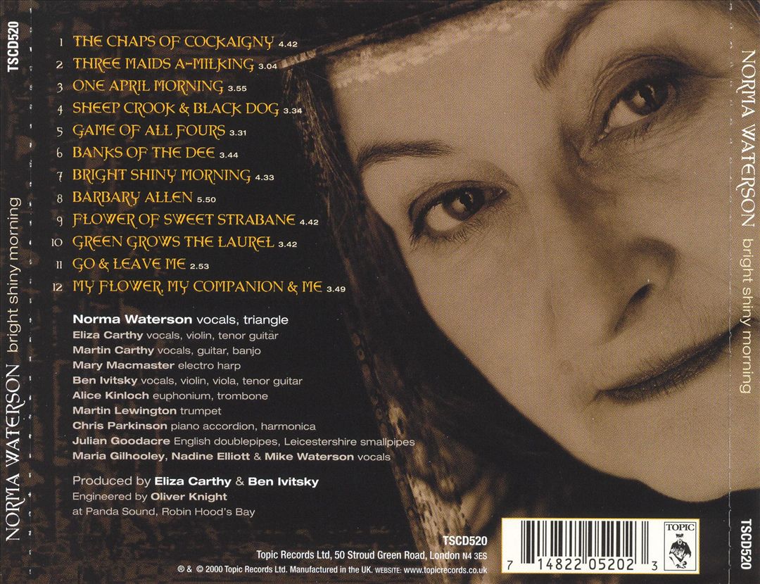 Bright Shiny Morning cover art
