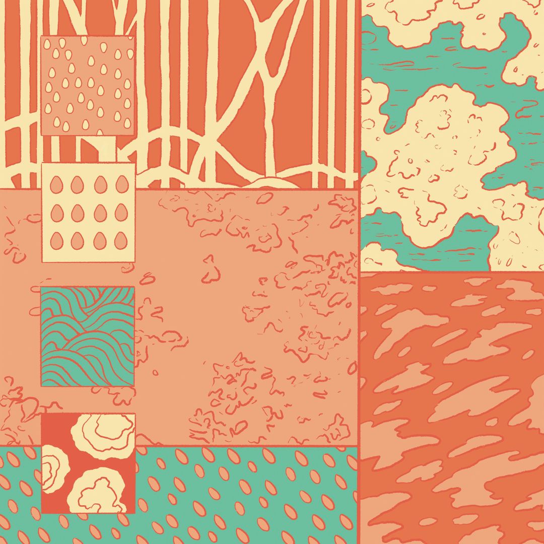 After the Rain, Strange Seeds cover art
