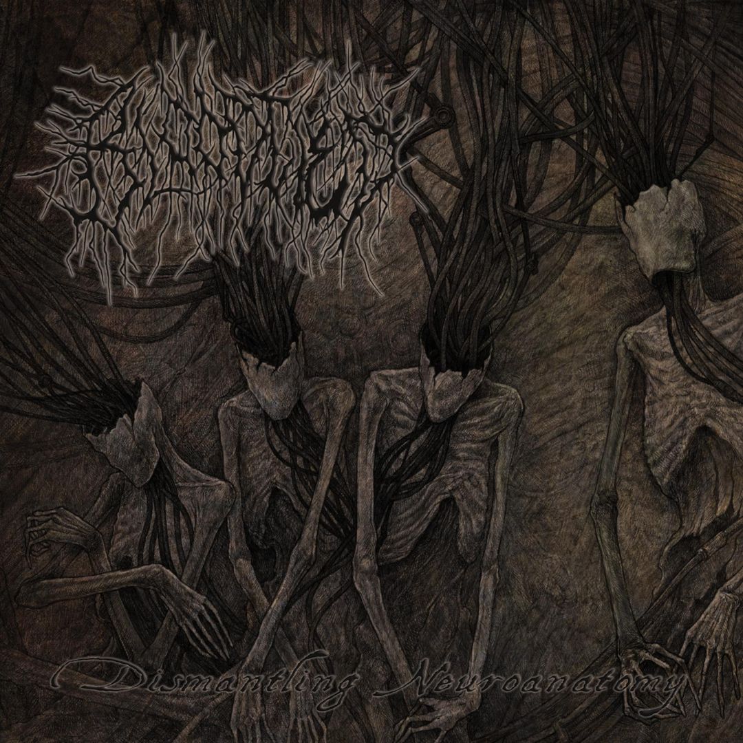 Dismantling Neuroanatomy cover art