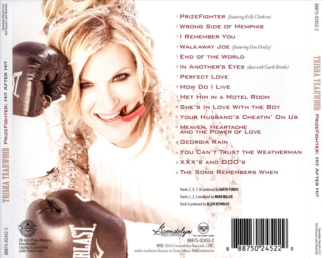 Prizefighter: Hit After Hit cover art