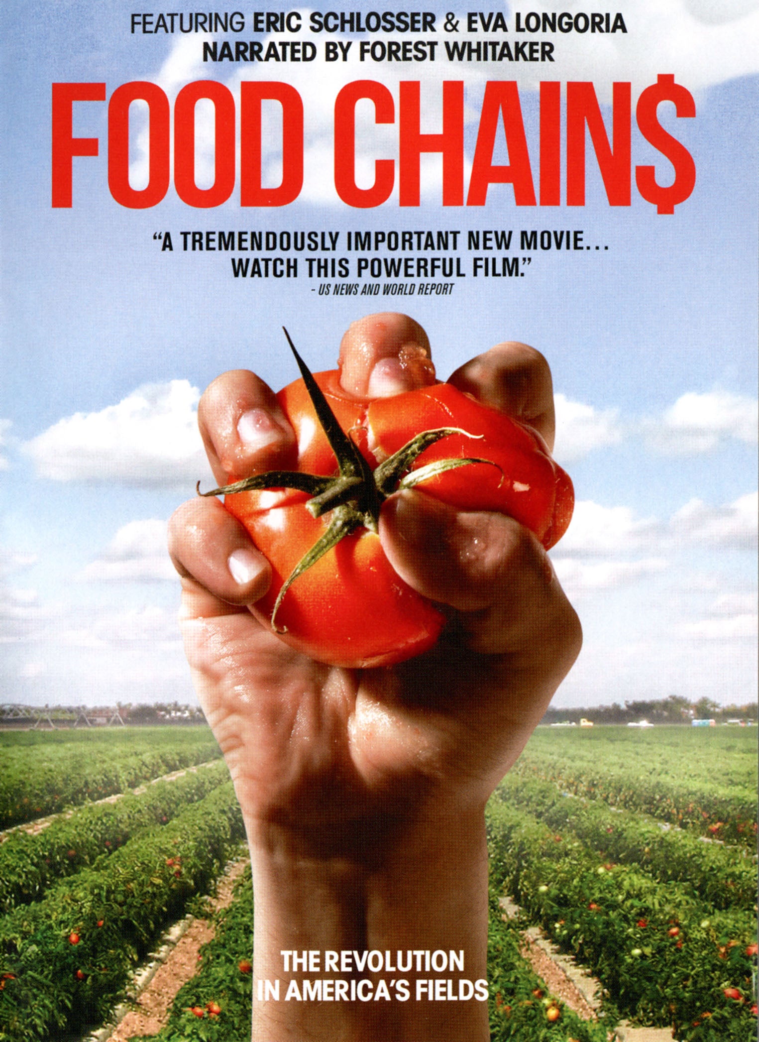 Food Chains cover art