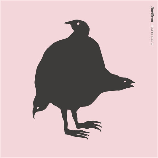 Rarities 2 cover art