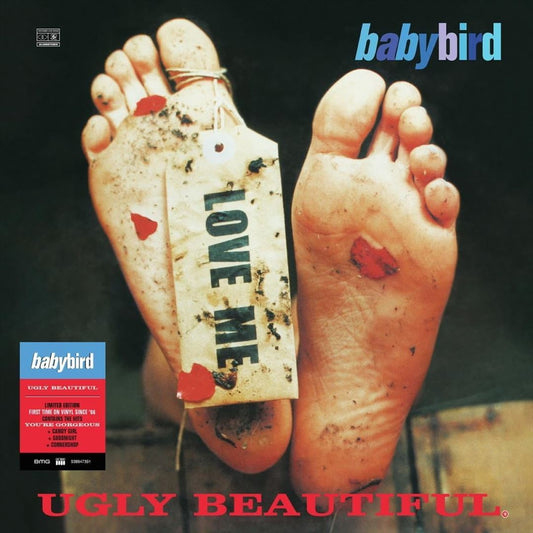 Ugly Beautiful cover art