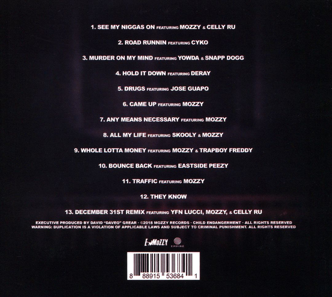 Child Endangerment cover art