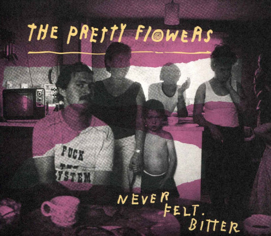 Never Felt Bitter cover art