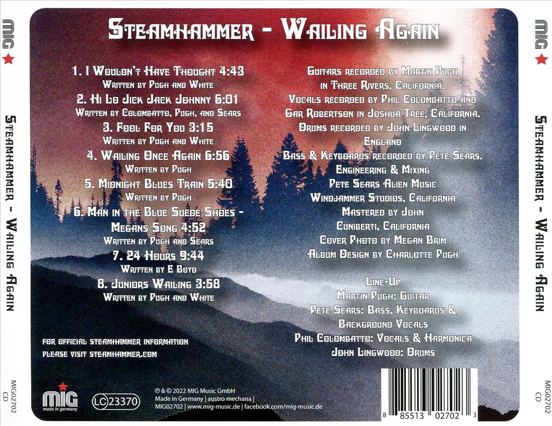 Wailing Again cover art