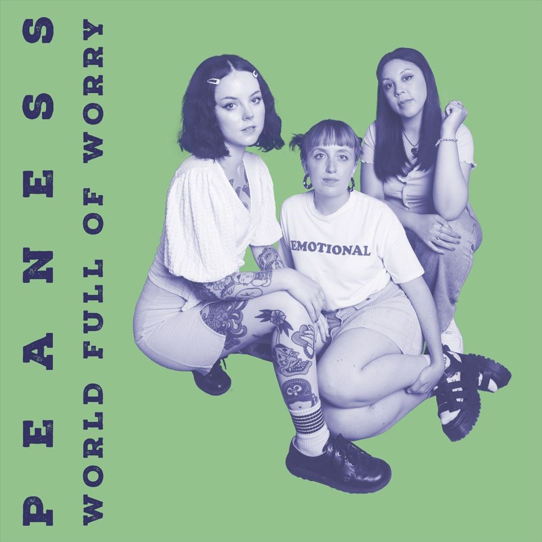 World Full of Worry cover art